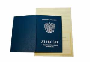 Аттестат за 11 класс с 2008 по 2009 годы образец 3