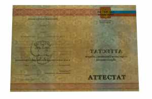 Аттестат за 11 класс с 2010 по 2013 годы образец 1