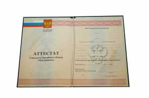 Аттестат за 11 класс с 2010 по 2013 годы образец 2