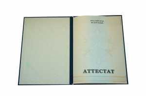 Аттестат за 11 класс с 2010 по 2013 годы образец 3