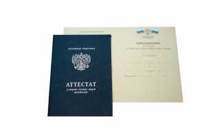 Аттестат за 11 класс с 2010 по 2013 годы образец 4