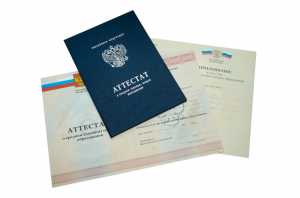 Аттестат за 11 класс с 2010 по 2013 годы образец 5