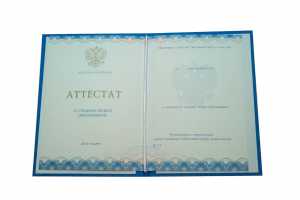 Аттестат за 11 класс с 2014 по 2026 годы образец 2