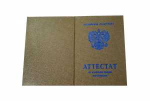 Аттестат за 9 класс с 2008 по 2009 годы образец 3