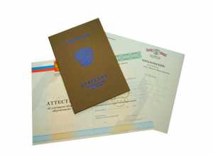 Аттестат за 9 класс с 2010 по 2013 годы образец 5