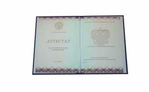 Аттестат за 9 класс с 2014 по 2026 годы образец 2