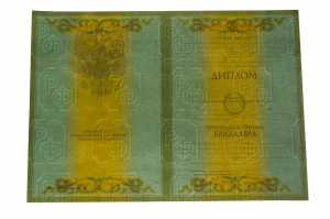 Диплом бакалавра с 2004 по 2008 годы образец 1