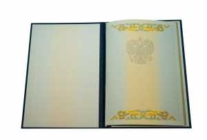 Диплом бакалавра с 2004 по 2008 годы образец 3