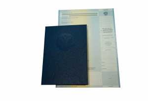 Диплом бакалавра с 2004 по 2008 годы образец 4