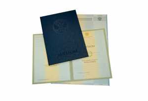 Диплом бакалавра с 2004 по 2008 годы образец 5