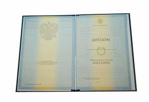 Диплом бакалавра с 2009 по 2011 годы образец 2