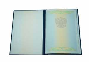 Диплом бакалавра с 2009 по 2011 годы образец 3