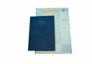 Диплом бакалавра с 2009 по 2011 годы образец 4