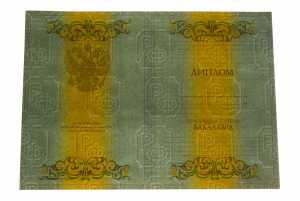 Диплом о высшем образовании с 2012 по 2013 годы образец 1