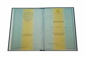 Диплом о высшем образовании с 2012 по 2013 годы образец 2
