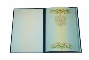 Диплом о высшем образовании с 2012 по 2013 годы образец 3