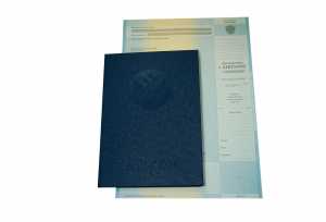 Диплом о высшем образовании с 2012 по 2013 годы образец 4