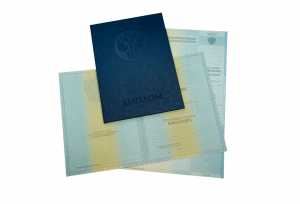 Диплом о высшем образовании с 2012 по 2013 годы образец 5