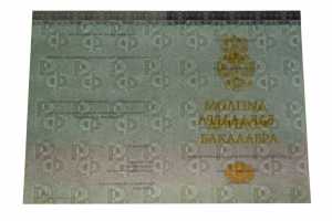 Диплом о высшем образовании (КИРЖАЧ) с 2014 по 2026 годы образец 1