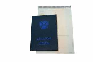 Диплом о высшем образовании (КИРЖАЧ) с 2014 по 2026 годы образец 5