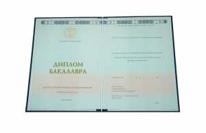 Диплом бакалавра с 2014 по 2026 годы образец 3