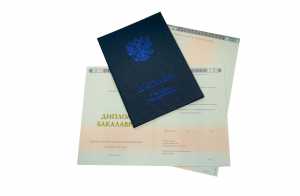 Диплом бакалавра с 2014 по 2026 годы образец 6