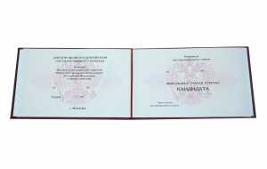 Диплом кандидата наук с 2006 по 2014 годы образец 2