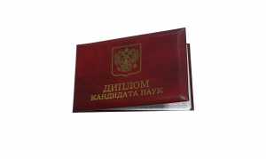 Диплом кандидата наук с 2006 по 2014 годы образец 4