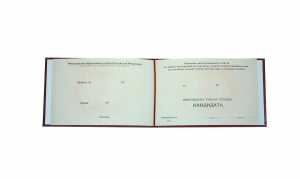 Диплом кандидата наук с 2015 по 2026 годы образец 2