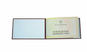 Диплом кандидата наук с 2015 по 2026 годы образец 3
