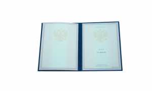 Диплом о среднем образовании с 1997 по 2003 годы образец 3