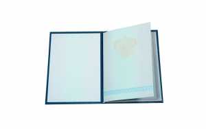 Диплом техникума с 2004 по 2007 годы образец 3