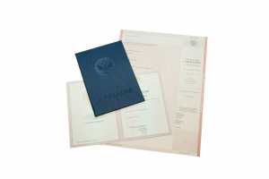 Диплом техникума с 2004 по 2007 годы образец 5