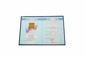 Диплом колледжа с 2008 по 2010 годы образец 2