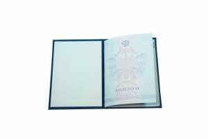 Диплом колледжа с 2008 по 2010 годы образец 3