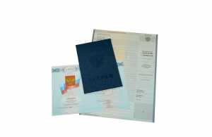 Диплом колледжа с 2008 по 2010 годы образец 5