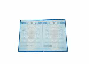 Диплом о среднем образовании с 2011 по 2013 годы образец 2