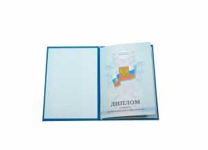Диплом о среднем образовании с 2011 по 2013 годы образец 3