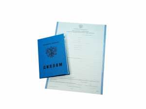 Диплом о среднем образовании с 2011 по 2013 годы образец 4