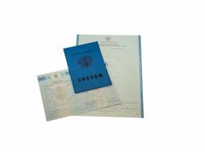 Диплом о среднем образовании с 2011 по 2013 годы образец 5