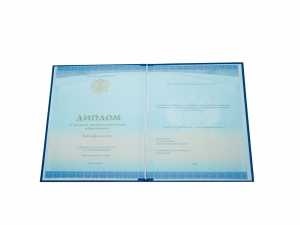 Диплом о среднем образовании с 2014 по 2026 годы образец 2