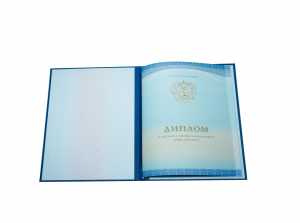 Диплом о среднем образовании с 2014 по 2026 годы образец 3