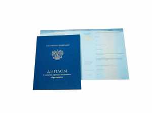 Диплом о среднем образовании с 2014 по 2026 годы образец 4