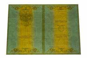 Диплом магистра с 2004 по 2008 годы образец 1