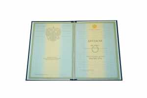 Диплом магистра с 2004 по 2008 годы образец 2