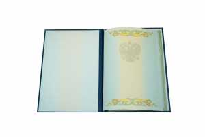 Диплом магистра с 2004 по 2008 годы образец 3