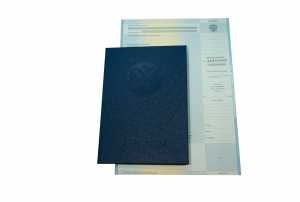 Диплом магистра с 2004 по 2008 годы образец 4