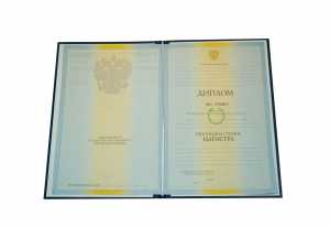 Диплом магистра с 2009 по 2011 годы образец 2