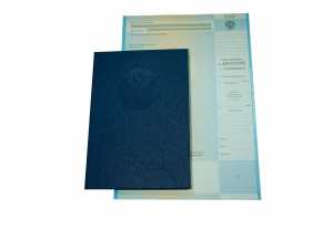 Диплом магистра с 2009 по 2011 годы образец 4