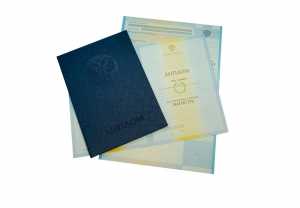 Диплом магистра с 2009 по 2011 годы образец 5